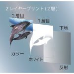 A3ヘアーラインステッカー　2レイヤープリント