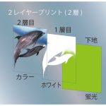 A3蛍光ステッカー　2レイヤープリント